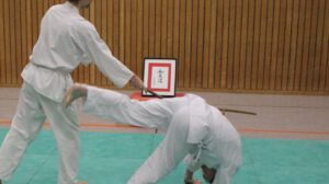 Aikido in Marbach