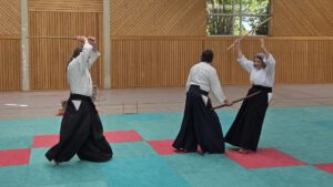 Bokken gegen Zwei