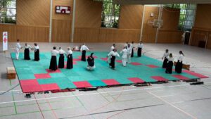 Zwei Angreifer Aikitai